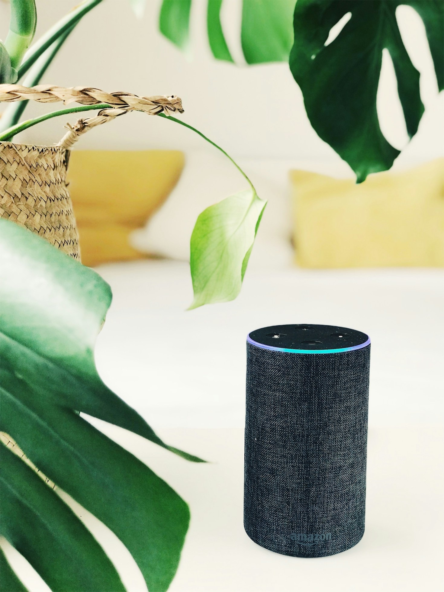 Expert Picks: Best Tech Innovations Under $50